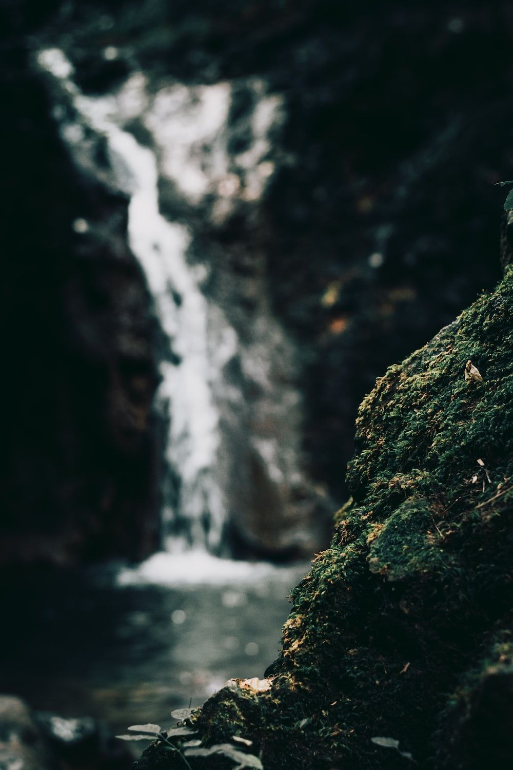 A mossy rock in the foreground with a waterfall in the background. - Waterfall