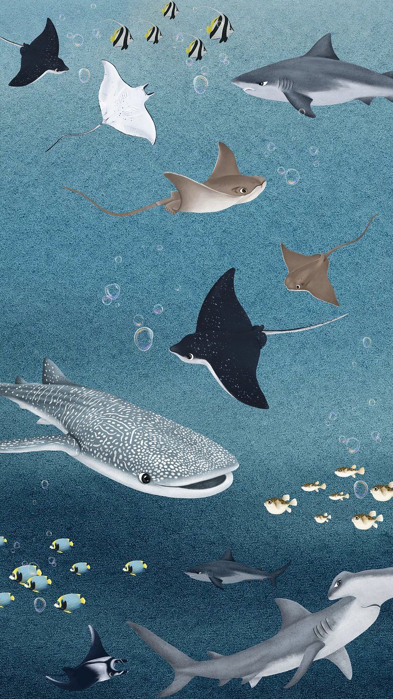 A painting of various sharks and fish swimming in the ocean - Fish