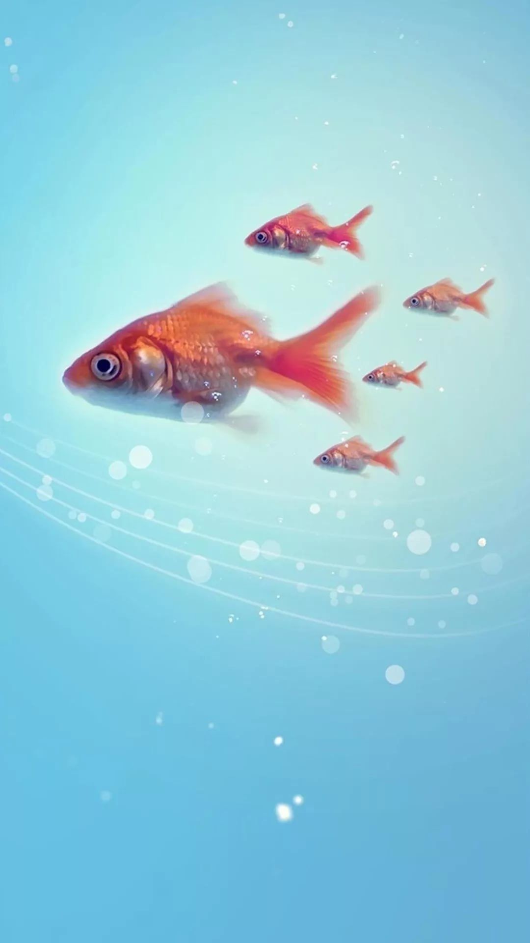 Aesthetic Goldfish Wallpaper Download