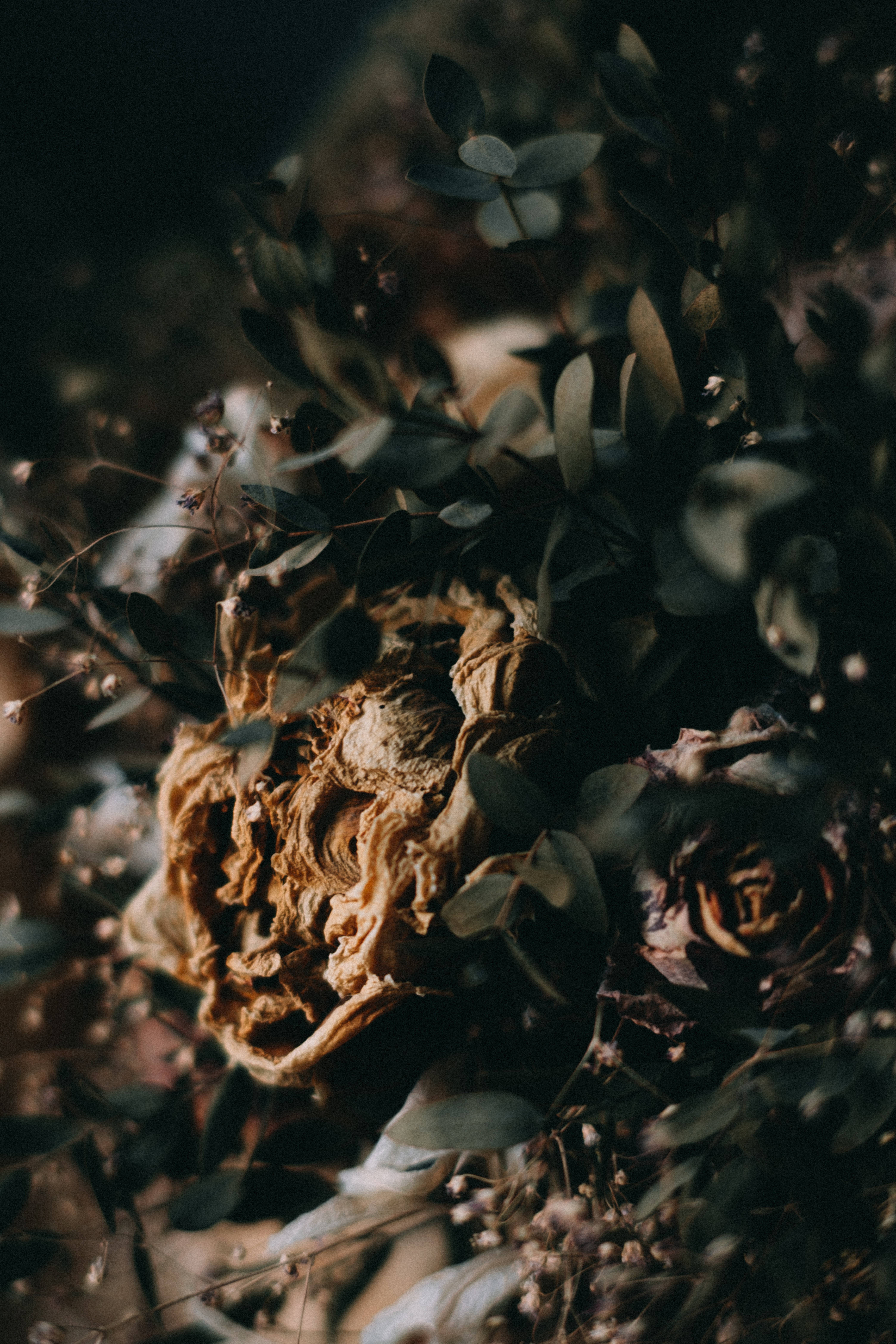 A bouquet of dried flowers. - Depression