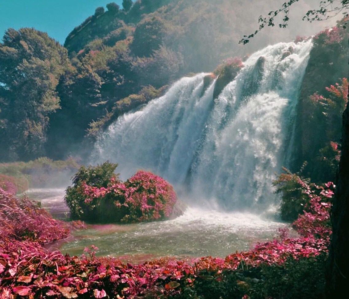 A waterfall surrounded by pink flowers - Waterfall