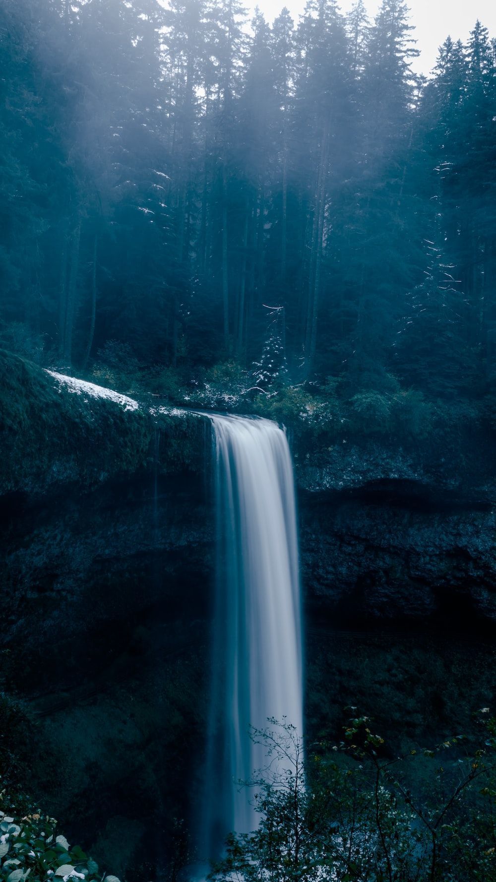 A waterfall surrounded by trees in the forest. - Waterfall