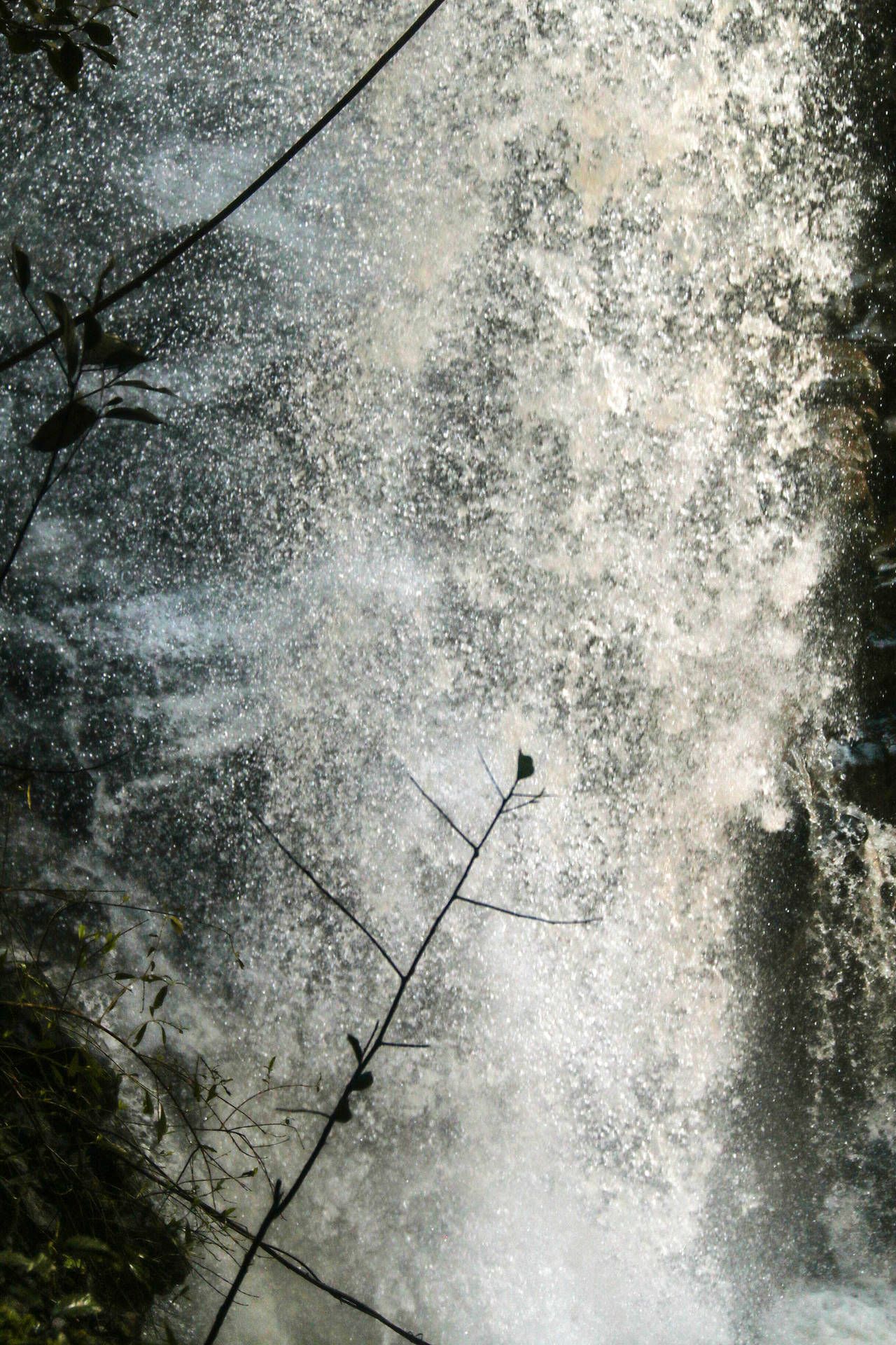 A close up of a waterfall with a bird perched on a branch in the foreground. - Waterfall