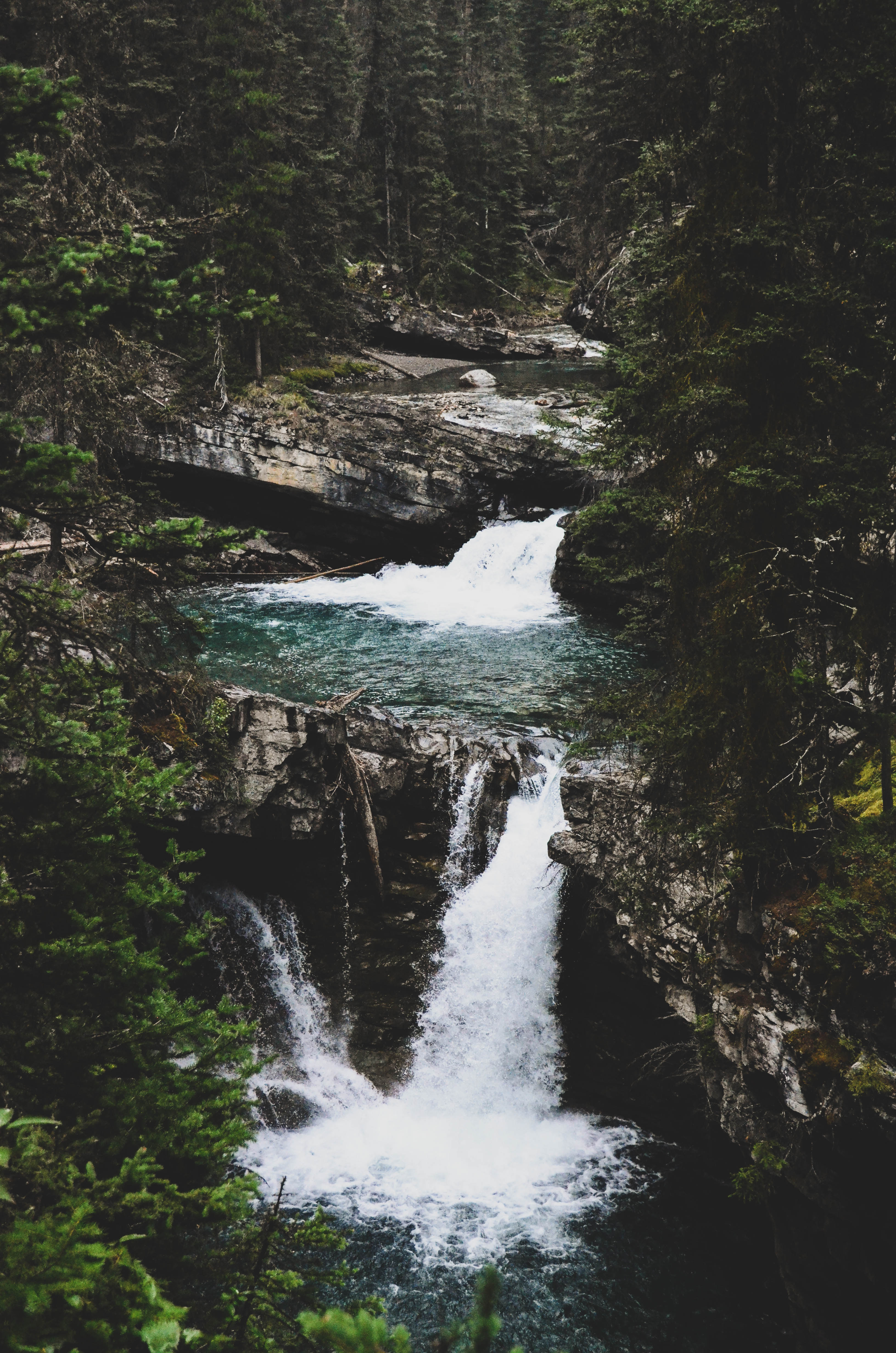 A waterfall surrounded by trees in the forest. - Waterfall