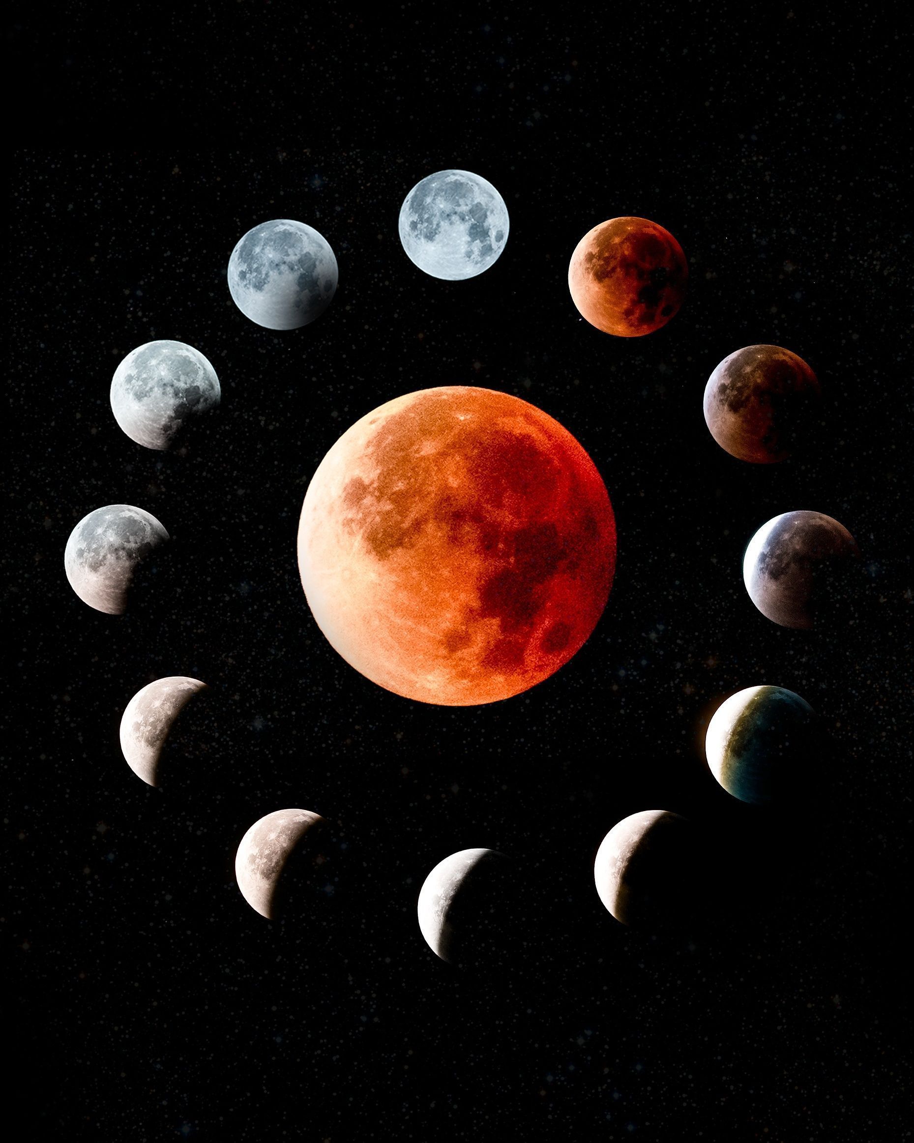 A collage of different moon phases, including a total lunar eclipse. - Eclipse