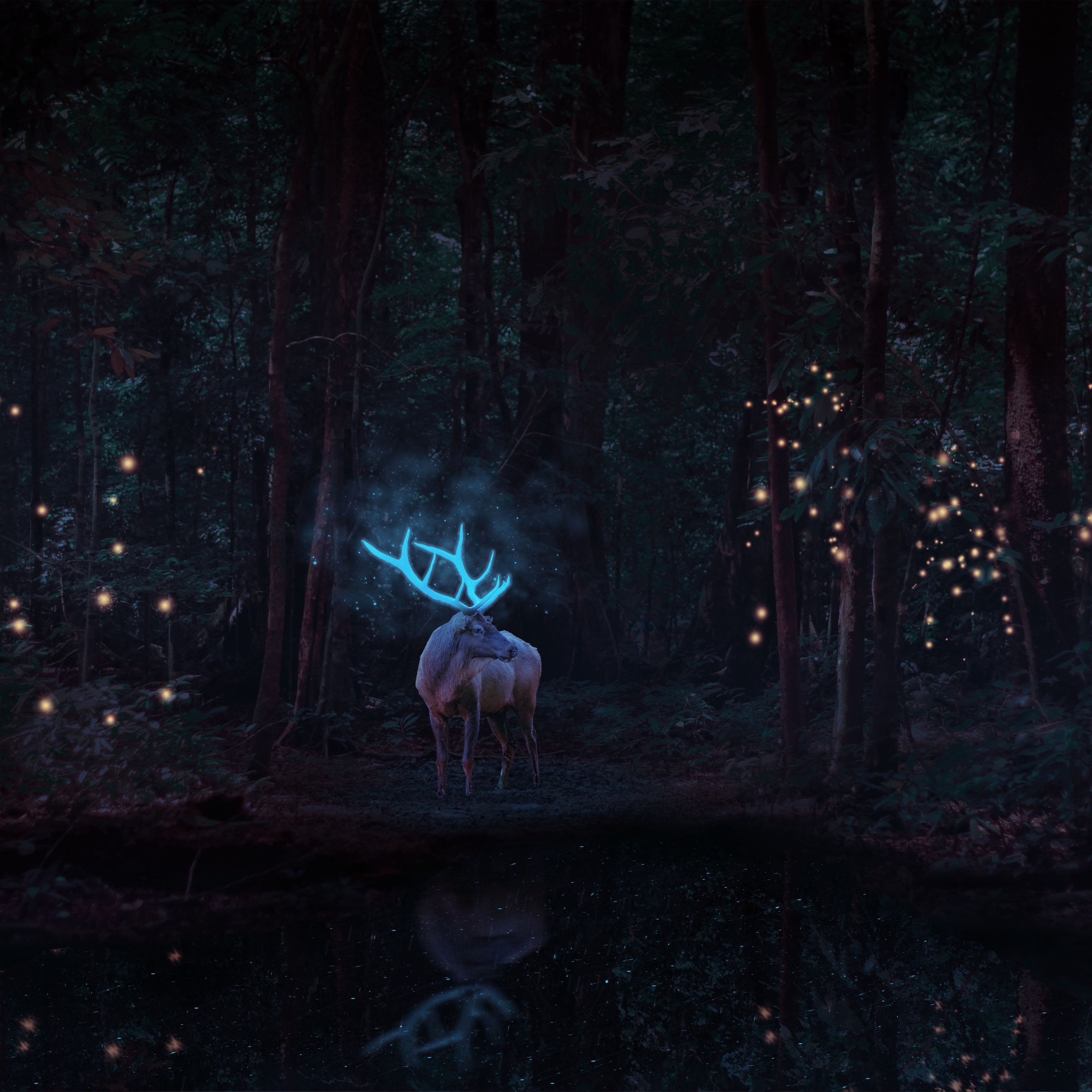 Stag Wallpaper 4K, Deer, Forest Trees, Surreal - Deer