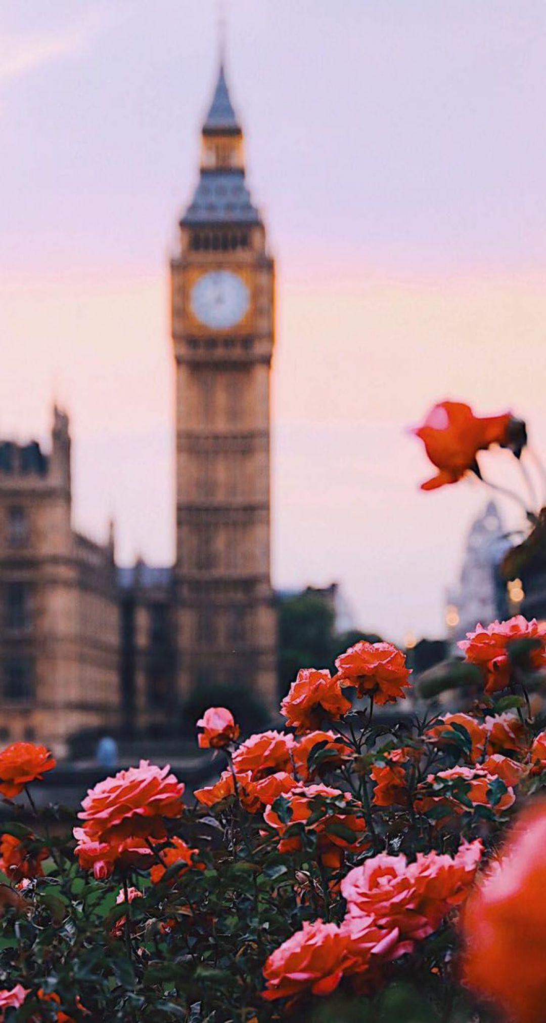 IPhone wallpaper of Big Ben with flowers in the foreground - London