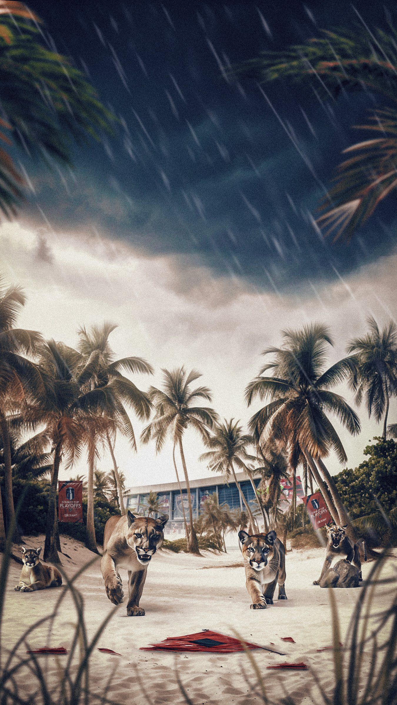 A beach with palm trees and a dog laying on the ground - Florida