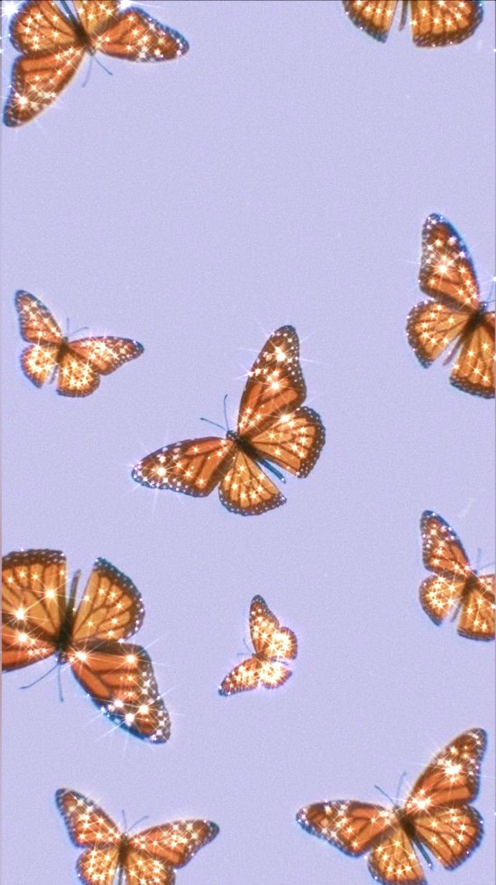 Aesthetic Butterfly Wallpaper Best Sale 1696423985