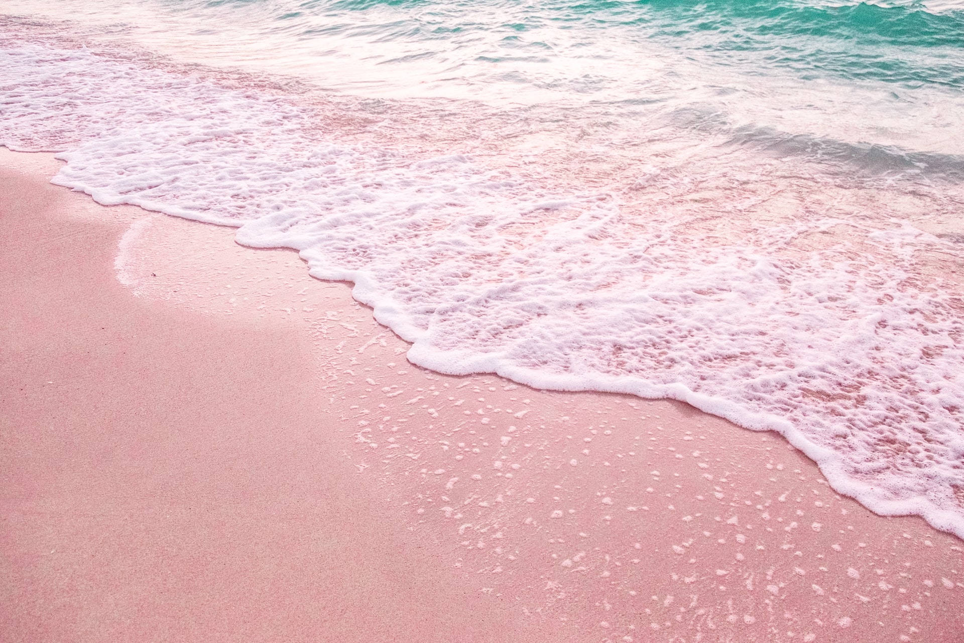 Download Florida Pink Shore Wallpaper