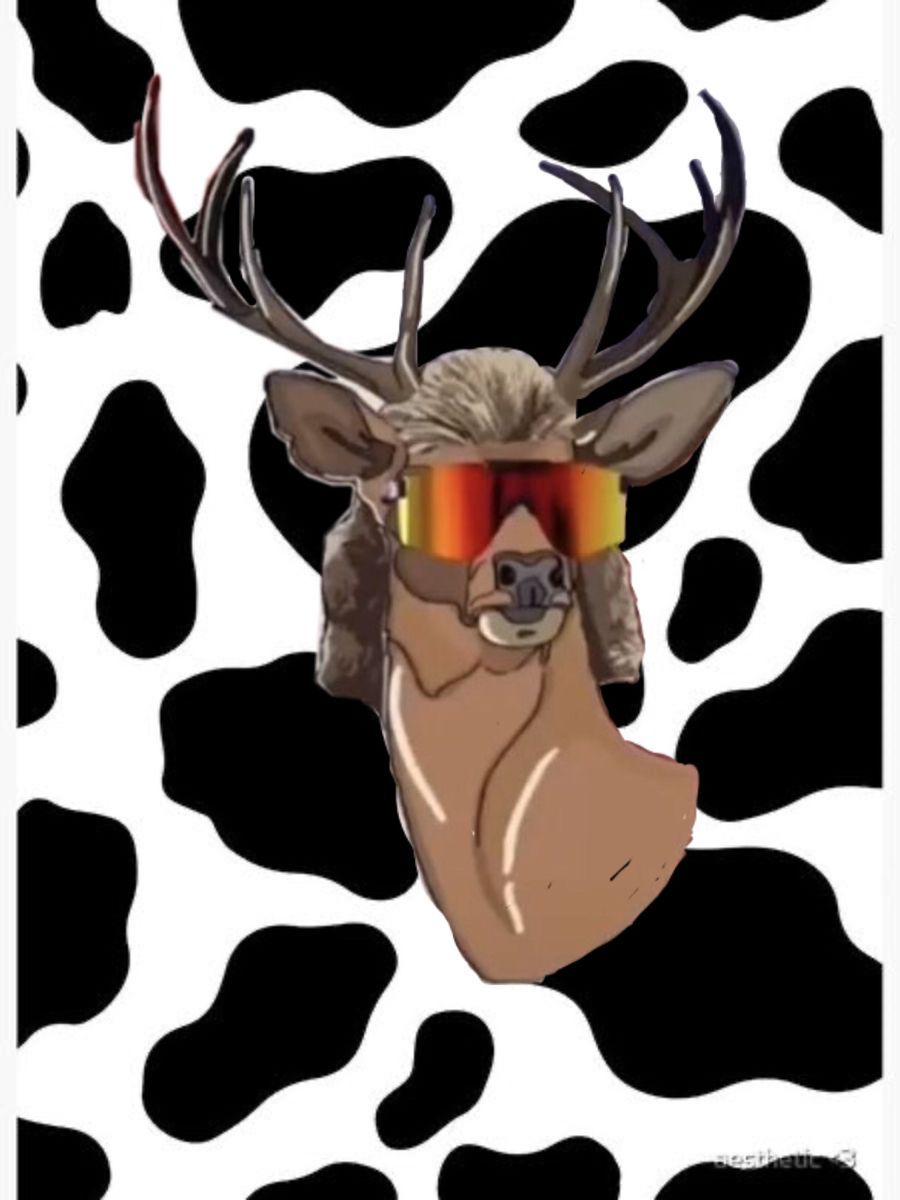 A deer with sunglasses on a cow print background - Deer