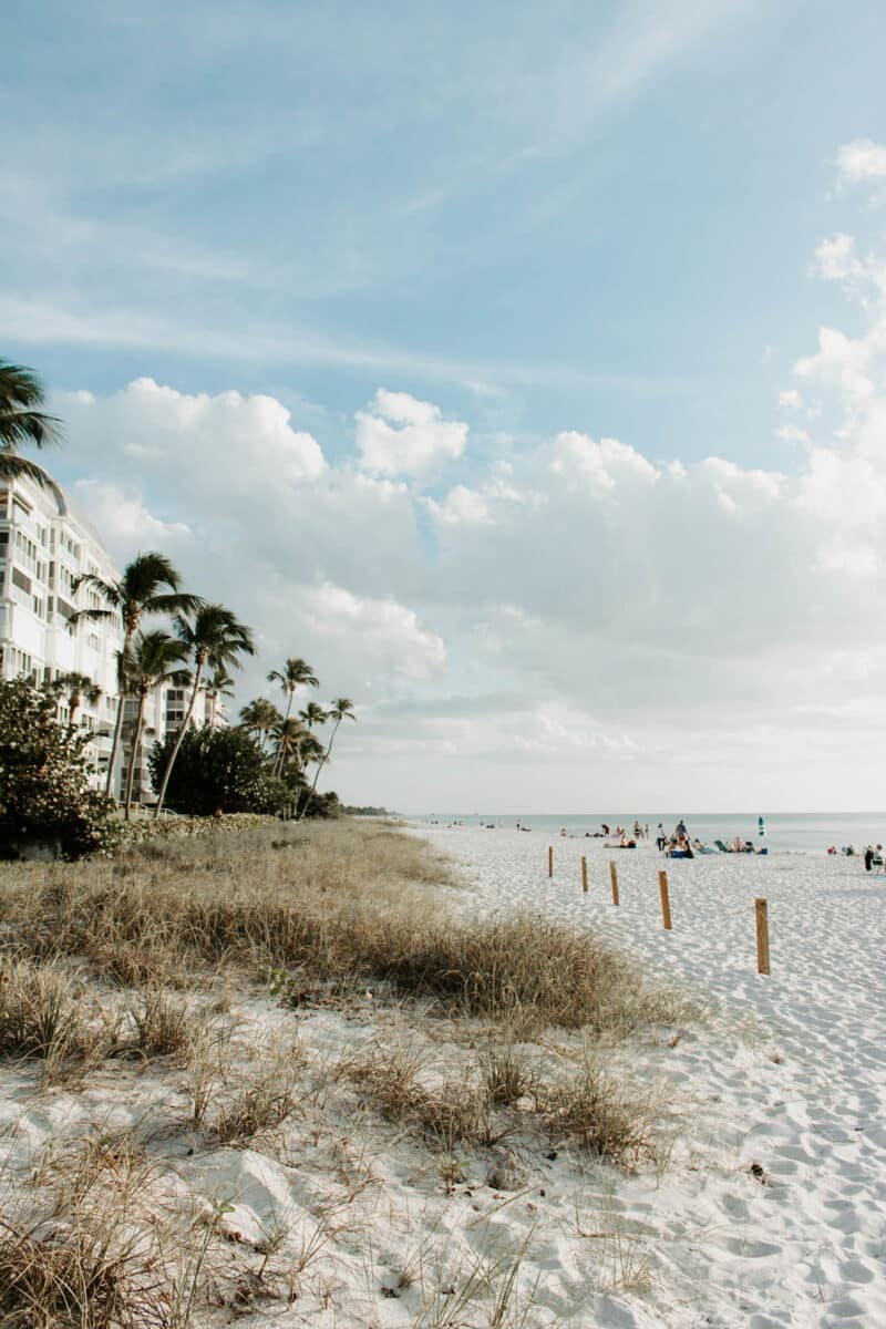 A beach with sand, grass, and people in the distance. - Florida