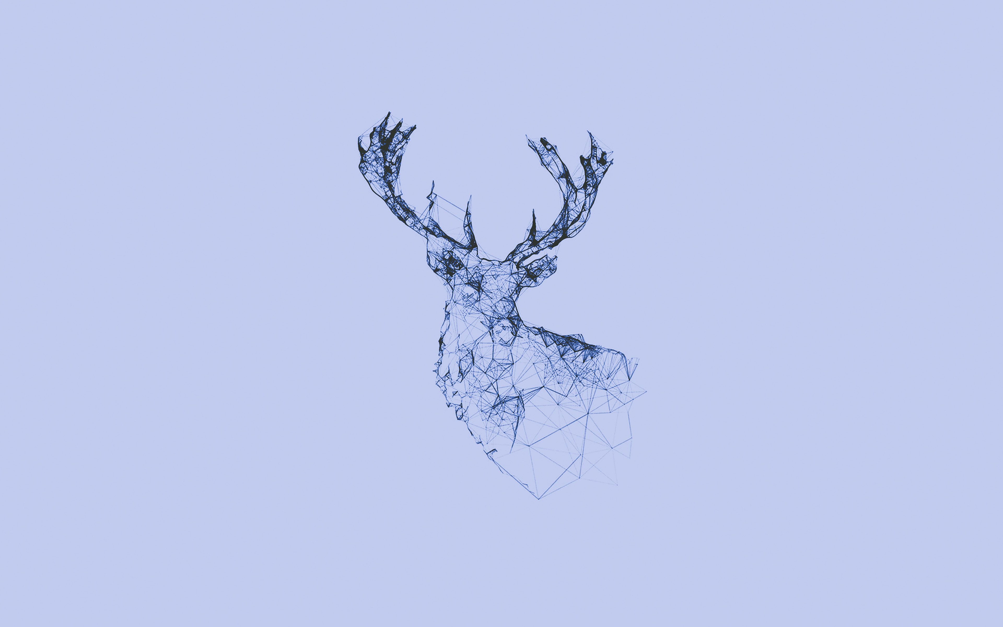 A digital illustration of a deer head made up of blue lines and dots - Deer