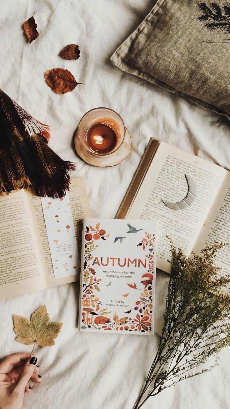 There's nothing quite like a fall inspired flat lay. Flat lay photography. Flat lay inspiration. Inst. Flat lay photography, Christmas flatlay, Book photography