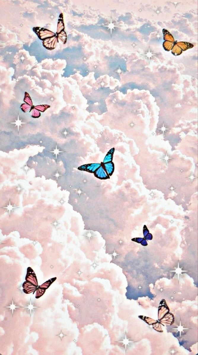 Aesthetic colorful butterfly Wallpaper Download