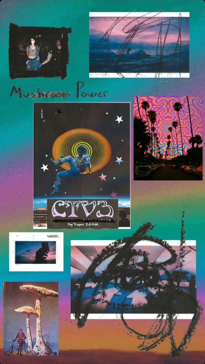 A collage of images including a mushroom, a group of people, and palm trees. - Angus Cloud