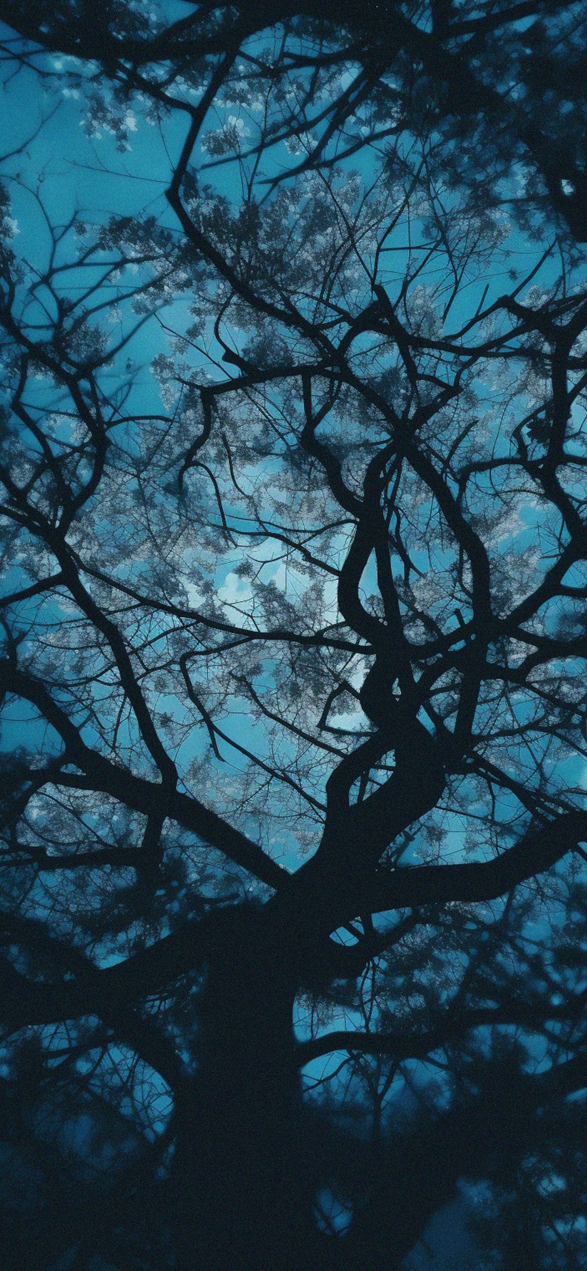 Tree Branches Blue Aesthetic Wallpaper