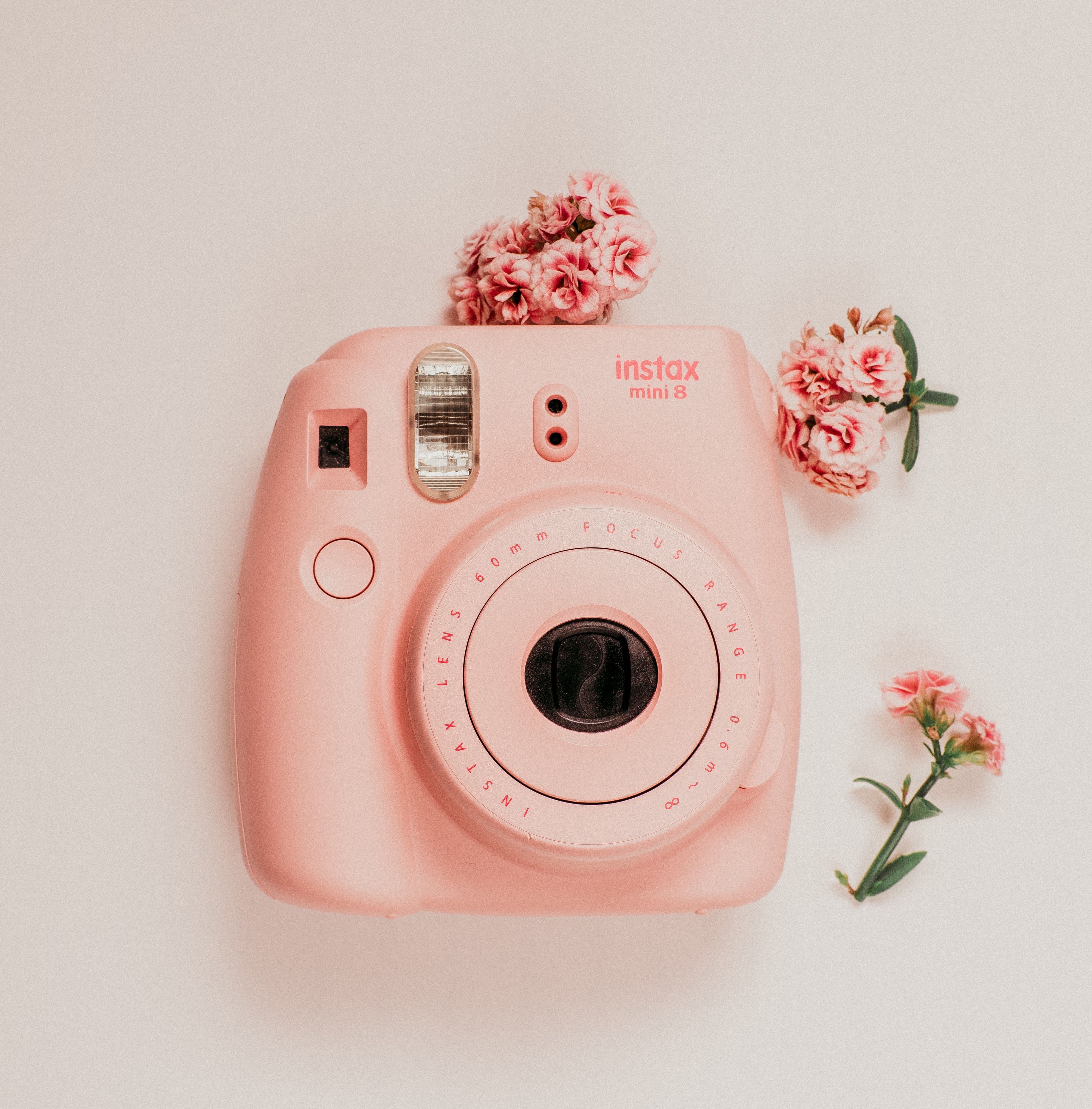 A pink camera with flowers on top - Polaroid