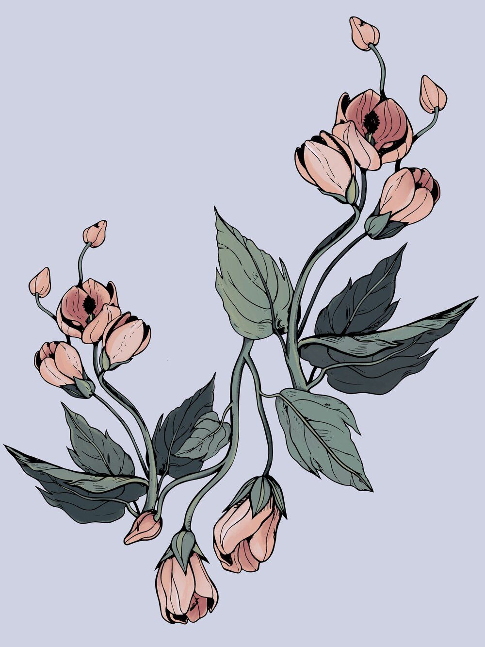 A branch of pink flowers on a blue background - Hand drawn