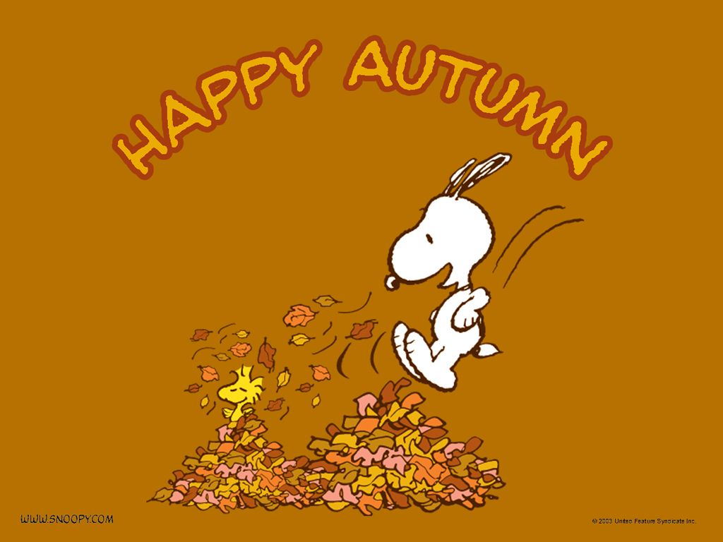 Free download Snoopy happy Autumn Autumn Wallpaper 25733615 [1024x768] for your Desktop, Mobile & Tablet. Explore Peanuts Autumn Wallpaper. Peanuts Characters Wallpaper, Peanuts Halloween Wallpaper, Peanuts Thanksgiving Wallpaper