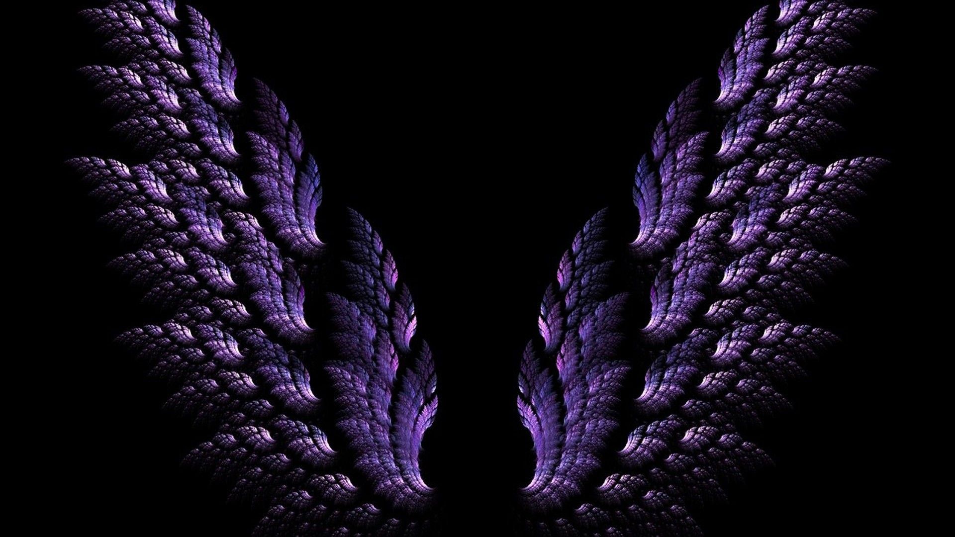 Two purple wings on a black background - Wings