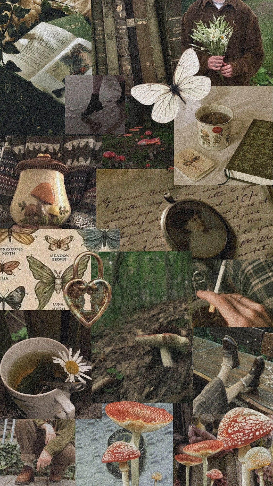 Aesthetic collage of mushrooms, books, and nature. - Goblincore