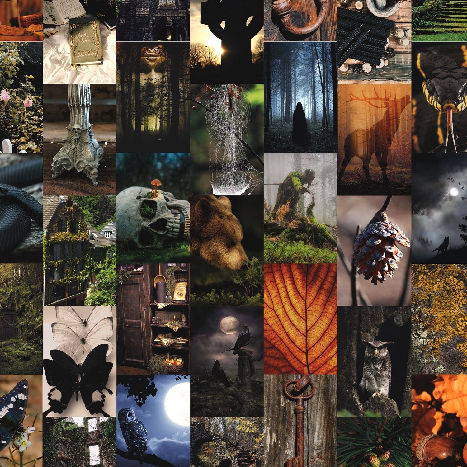 Goblincore Wall Collage Kit Digital Prints
