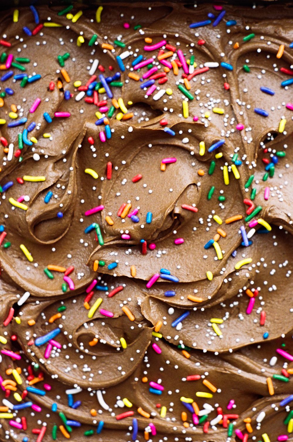 A close up of a chocolate cake with chocolate frosting and sprinkles. - Cake