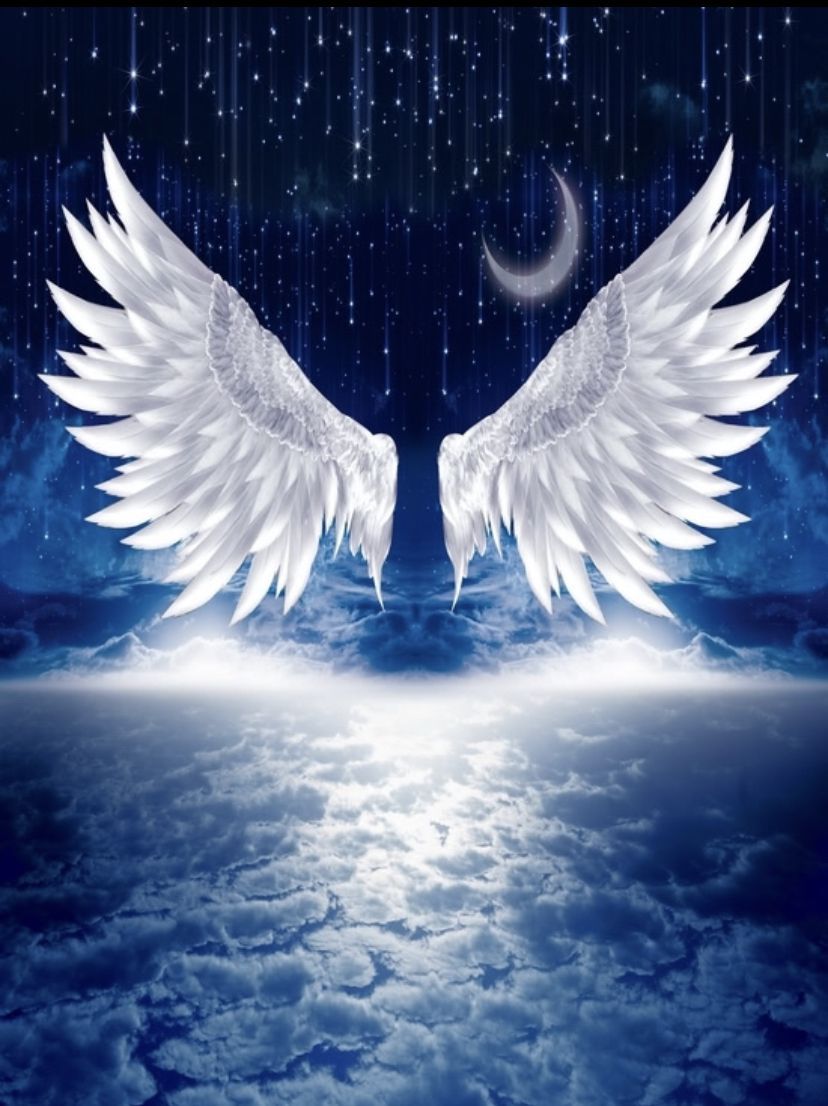 A pair of white wings on a dark blue background with stars and a crescent moon. - Wings