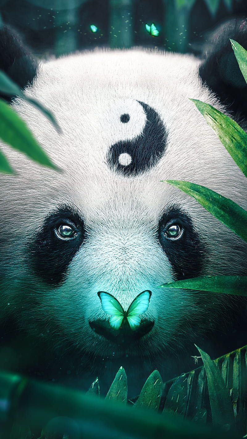 A panda bear with a butterfly on its nose - Panda
