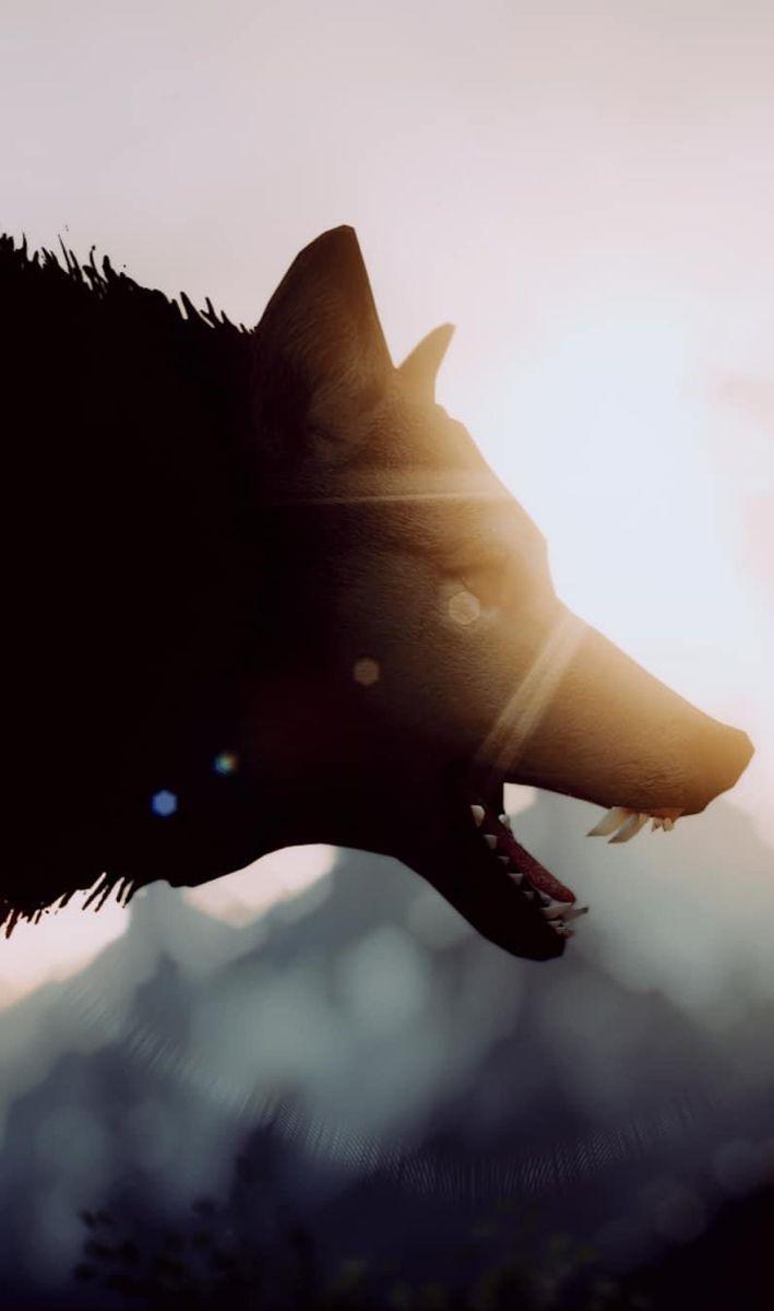 Black Wolf Wallpaper APK for Android Download