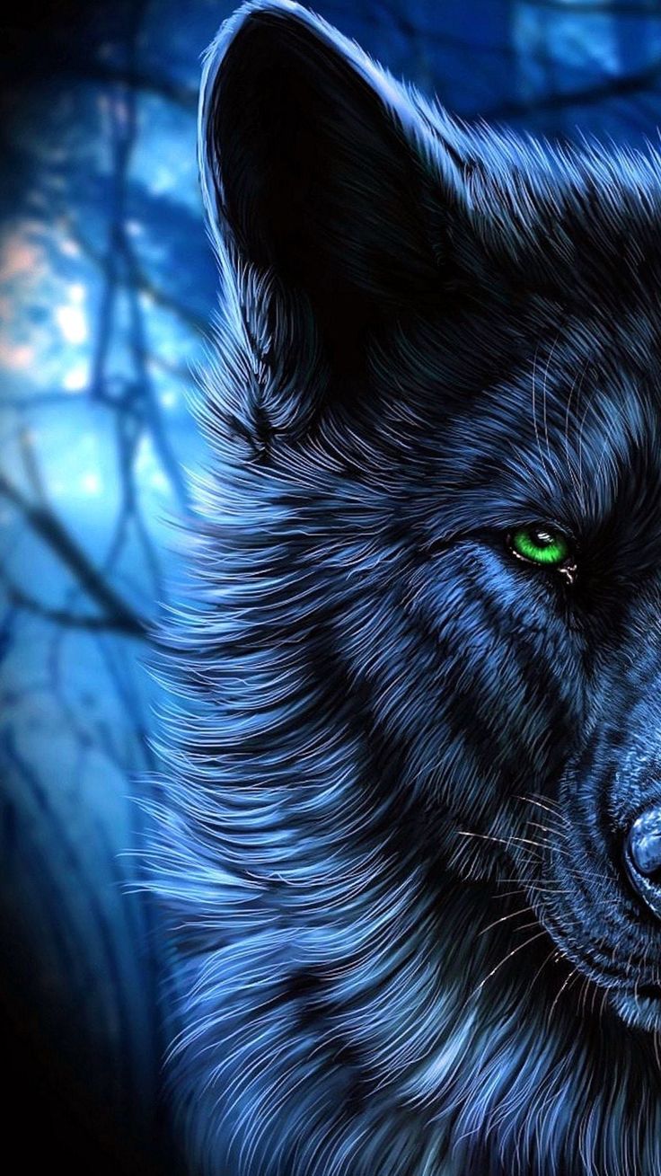 A black wolf with green eyes in the woods - Wolf