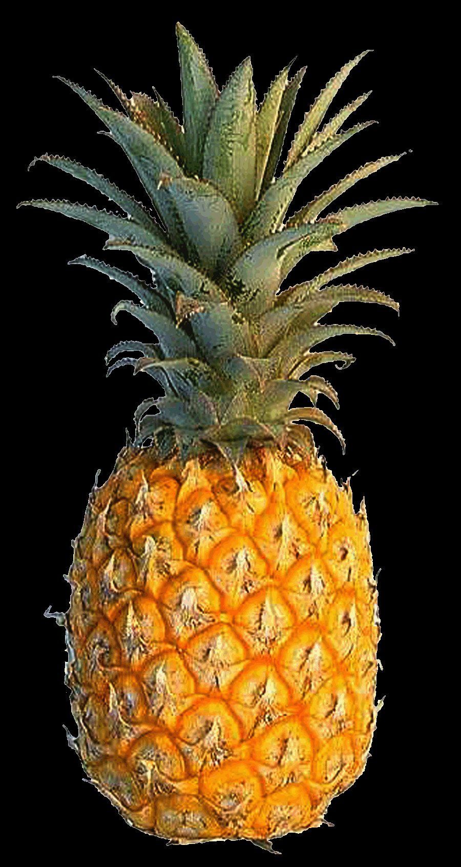 Pineapple aesthetic Wallpaper Download