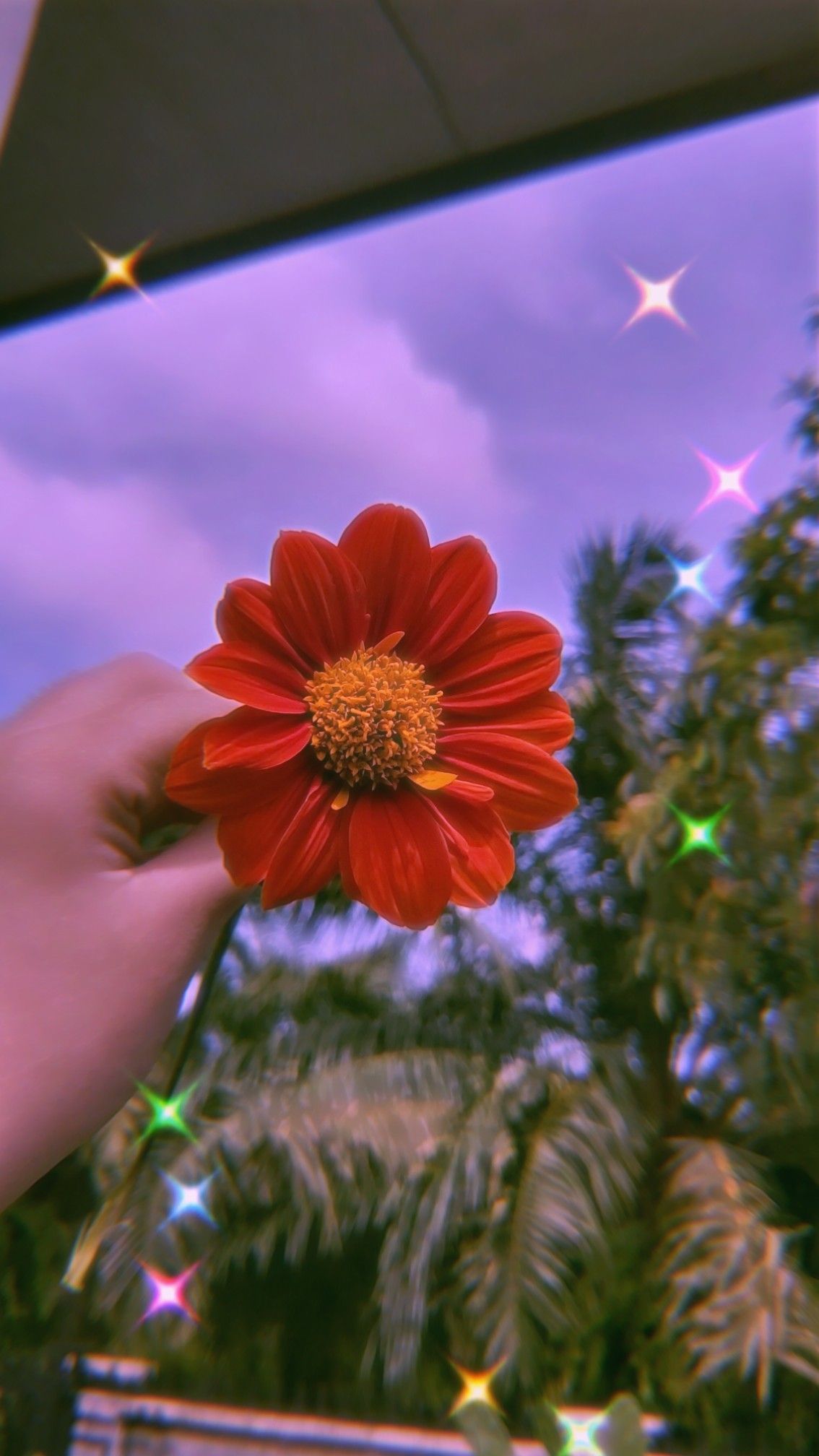A hand holding up an orange flower - Flower, bling