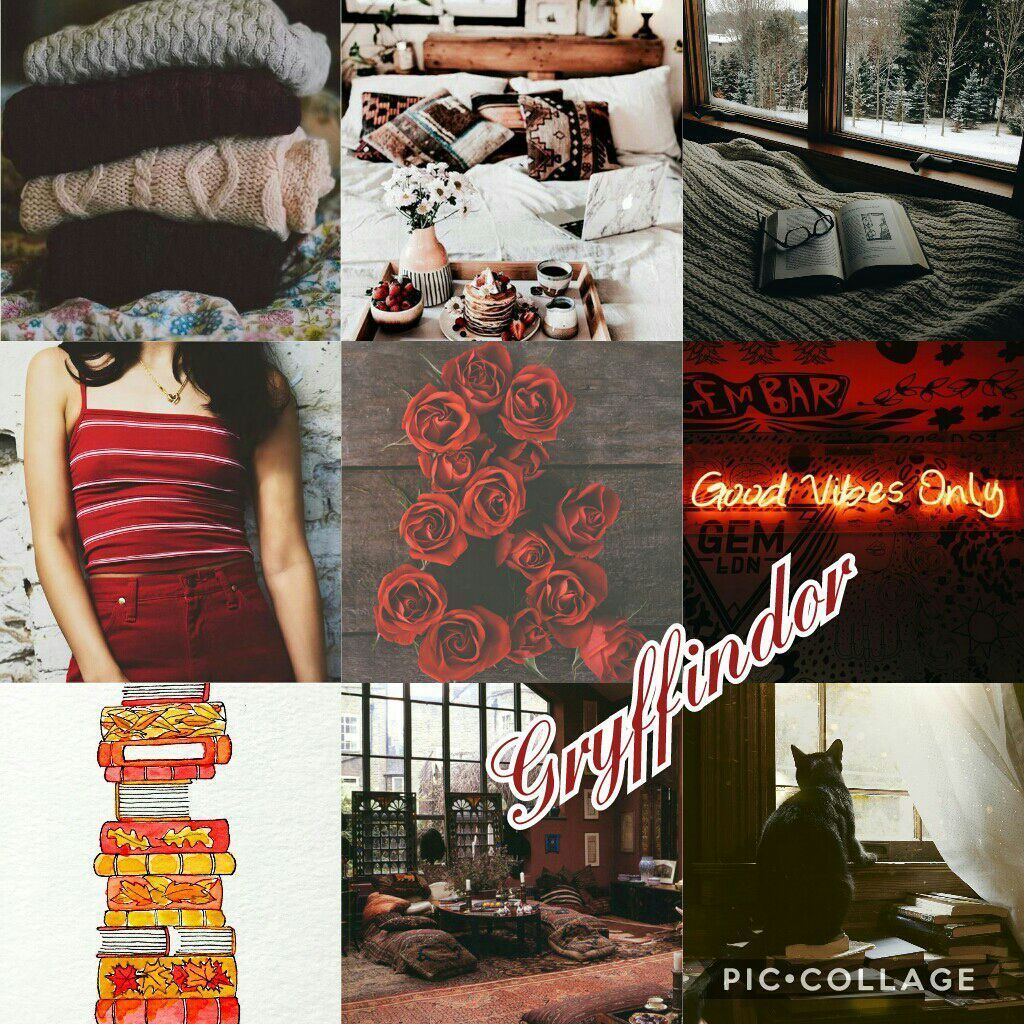 Aesthetic for Gryffindor, a book stack, cozy blankets, a girl in a red dress, red roses, a cozy room with a fireplace, a snowy scene - Gryffindor