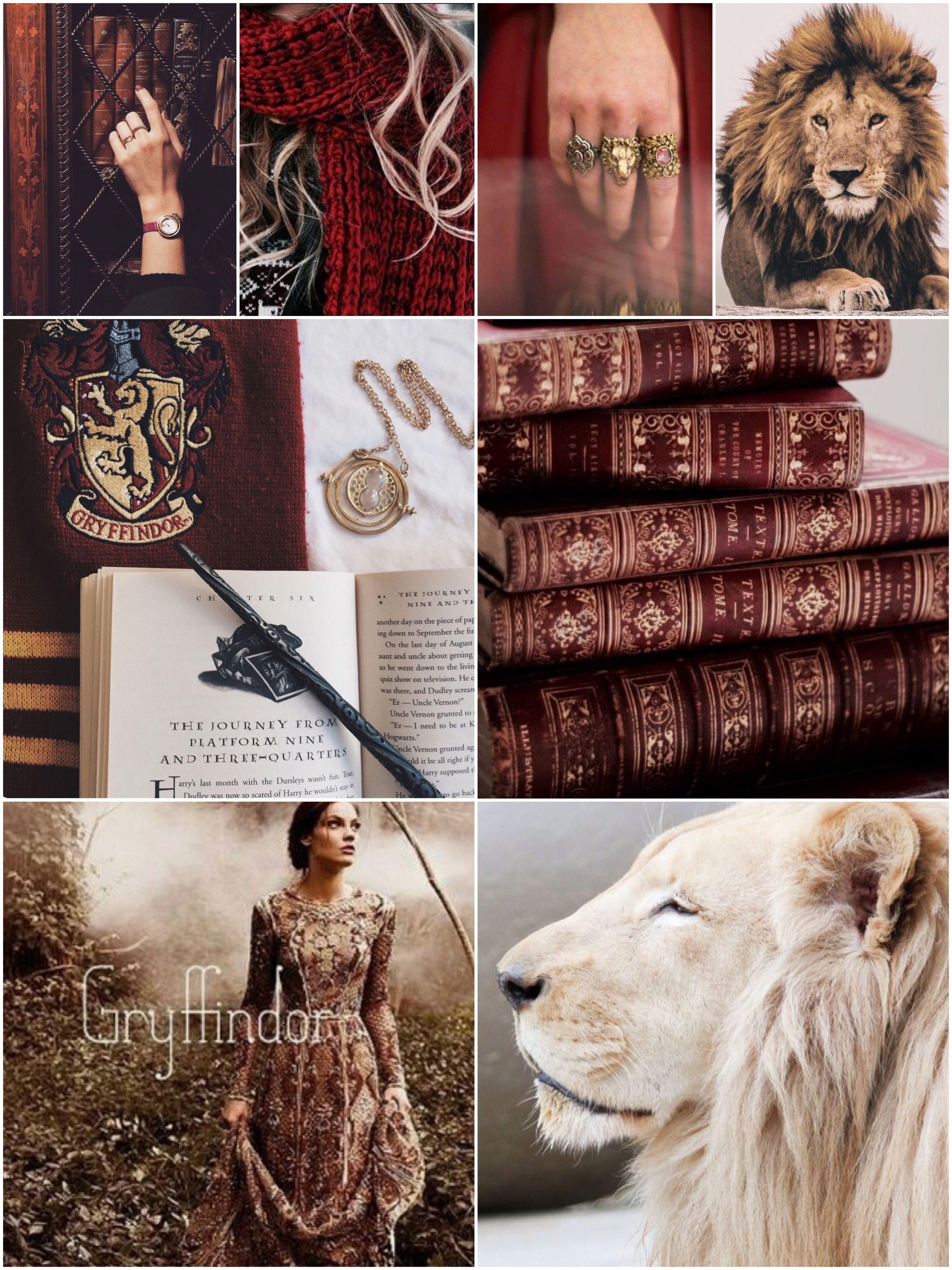 A collage of images including a lion, books, a wand, a scarf, a lion necklace, a lion head, and a Gryffindor crest. - Gryffindor