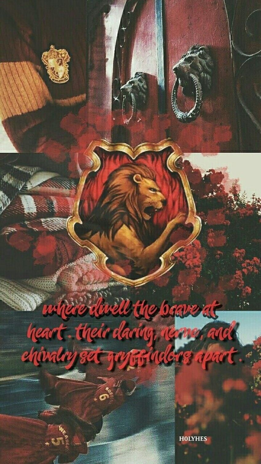 Aesthetic of Gryffindor house from Harry Potter - Gryffindor