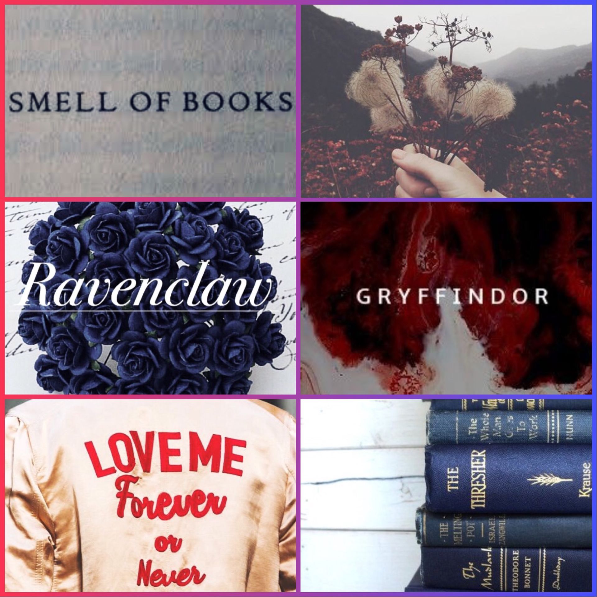 A collage of bookish items including a shirt that says 