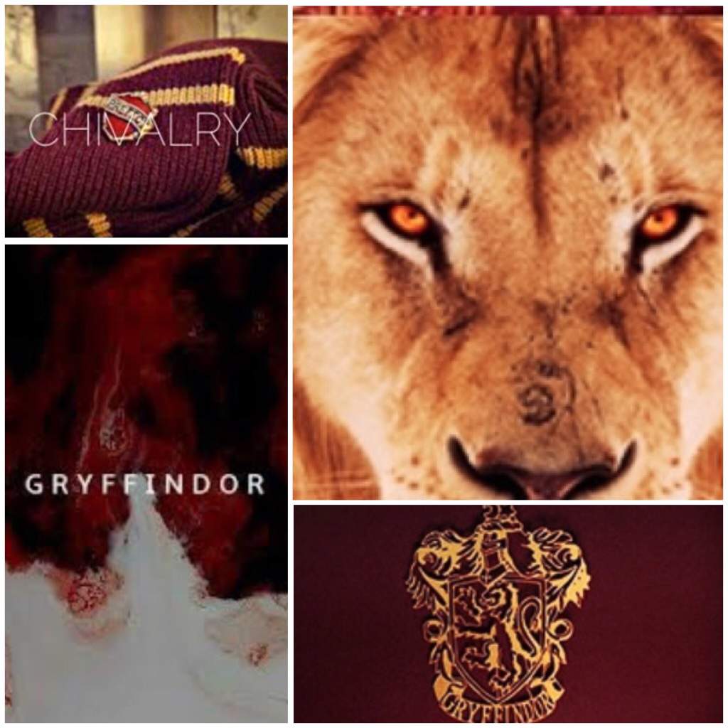 A collage of images of Gryffindor, including a lion, a scarf, and a shirt. - Gryffindor