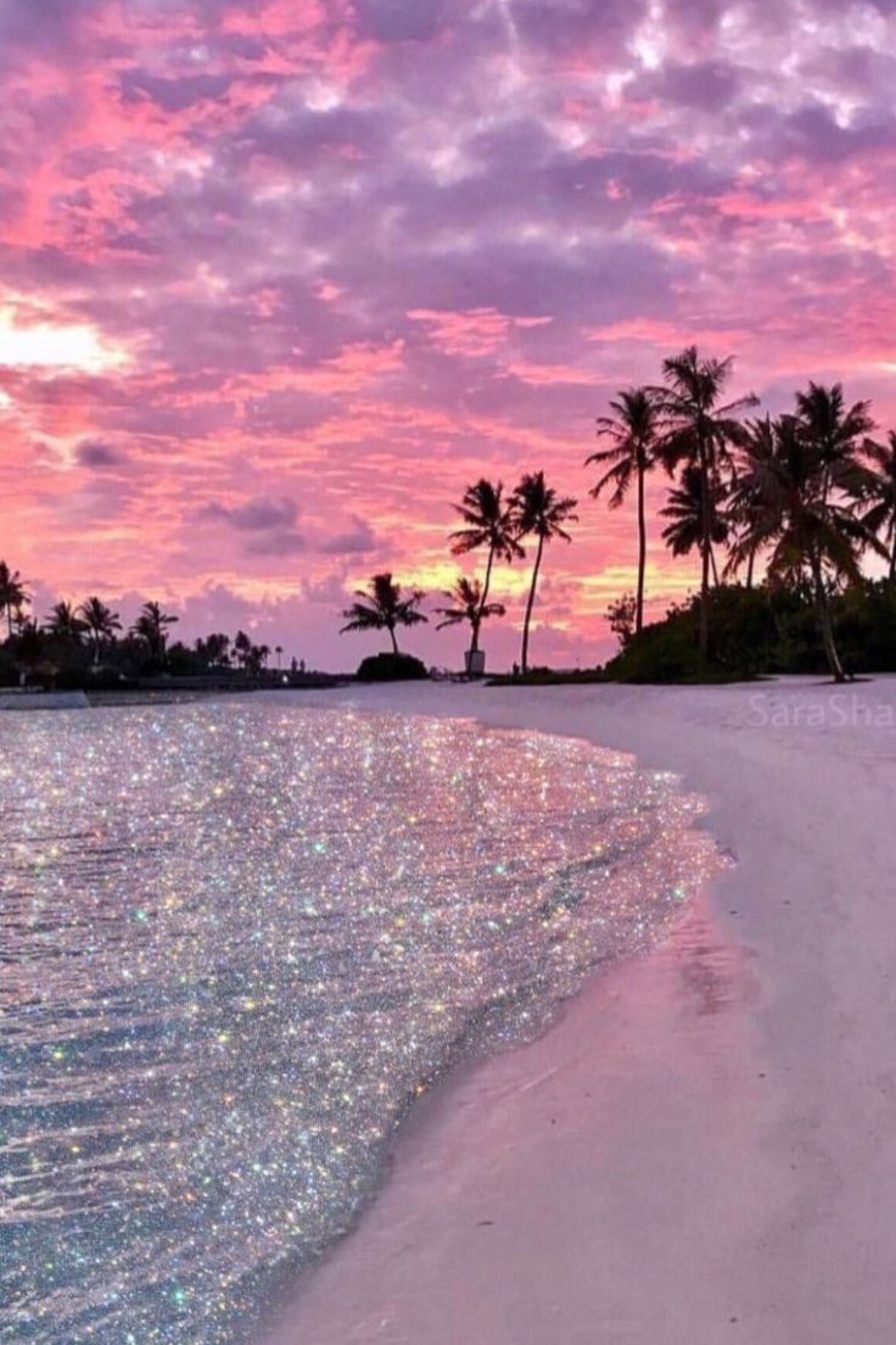 A beach with palm trees and a pink and purple sunset. - Bling