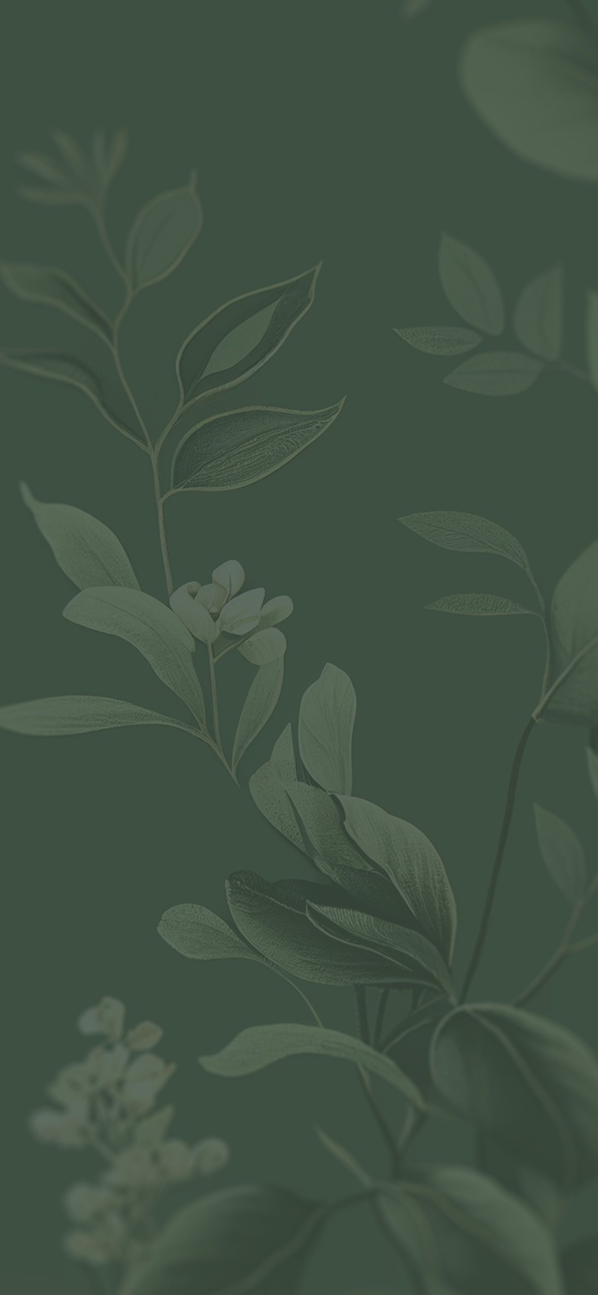 IPhone wallpaper with a dark green background and a light green floral design - Sage green, dark green