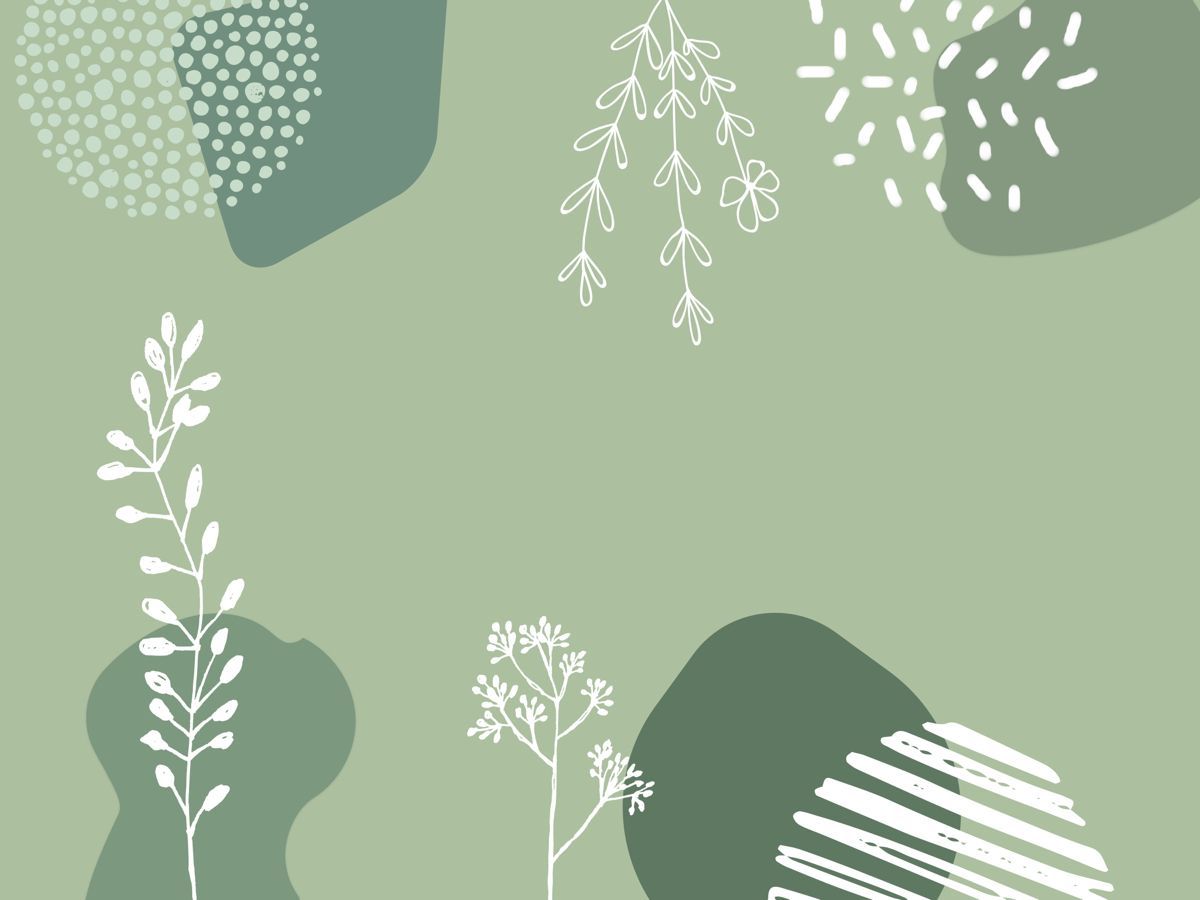 A pale green background with white illustrated plants and shapes. - Sage green