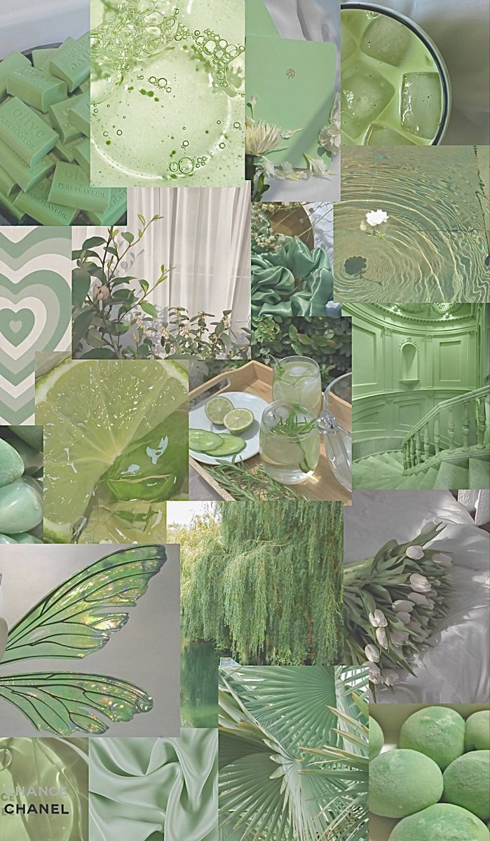 Aesthetic collage of green images including plants, a green couch, a green vase, and a green heart. - Sage green