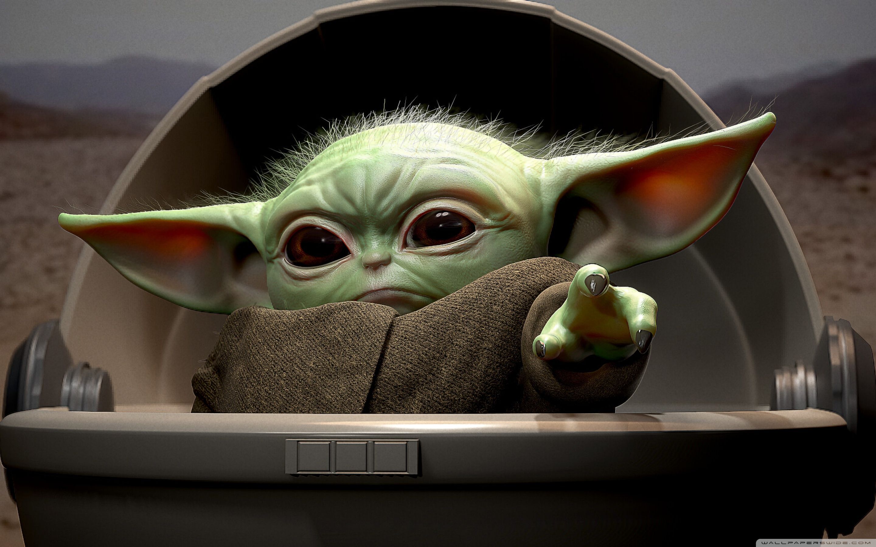 Baby Yoda in a basket from the mandalorian - Baby Yoda