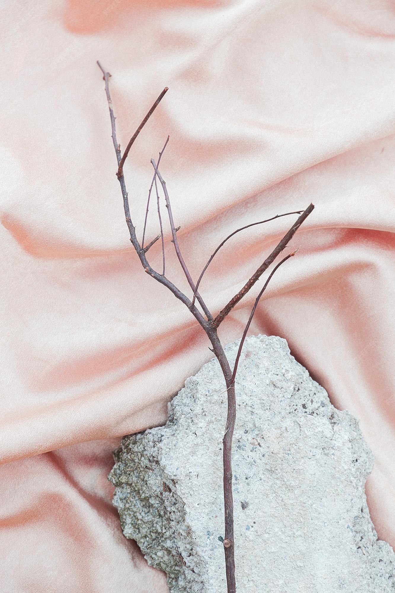 Premium Photo. Dry branch and rock on beige silk fabric background. aesthetic minimalist wallpaper. autumn floral plant composition