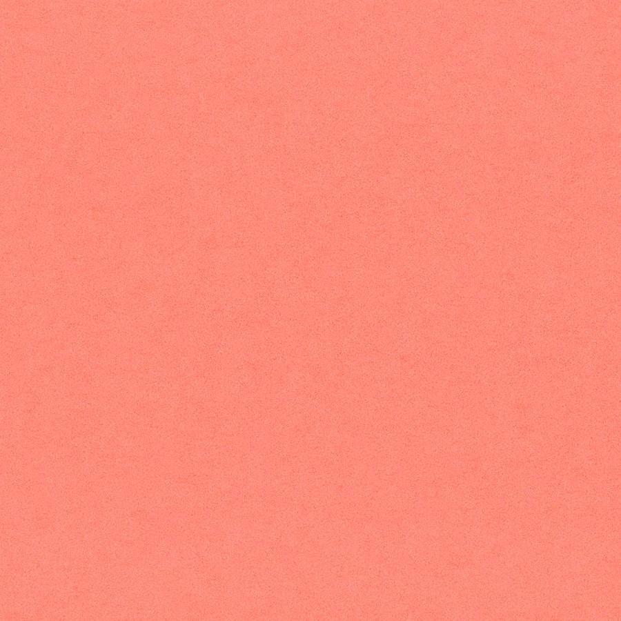 coral color wallpaper background latest