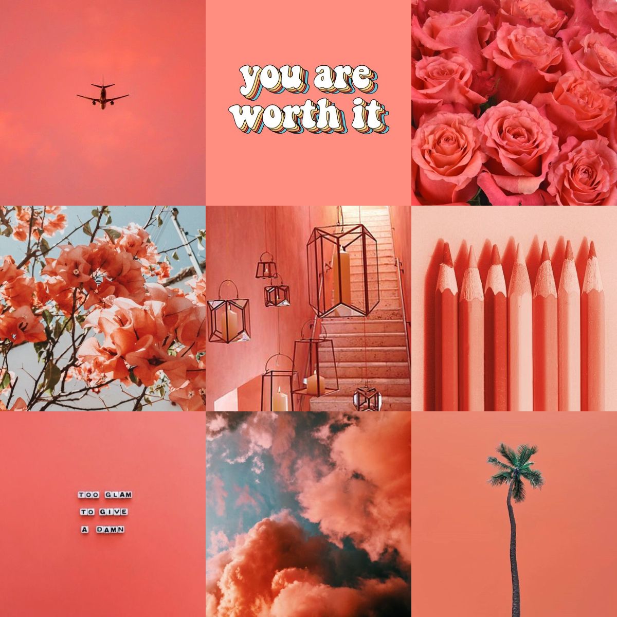 coral aesthetic. Coral picture, Aesthetic, Coral