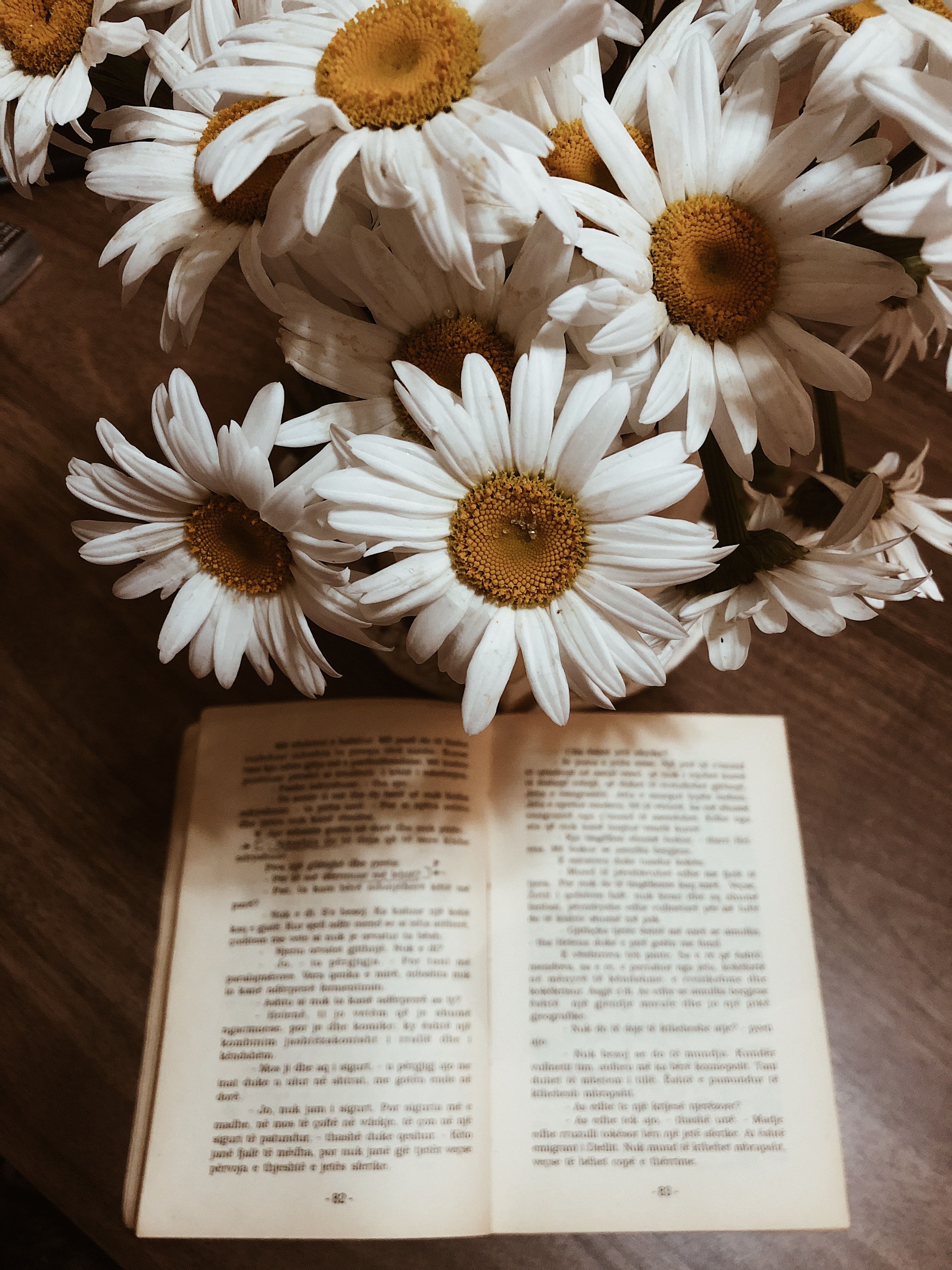 Vintage Aesthetic Photo, Download The BEST Free Vintage Aesthetic & HD Image