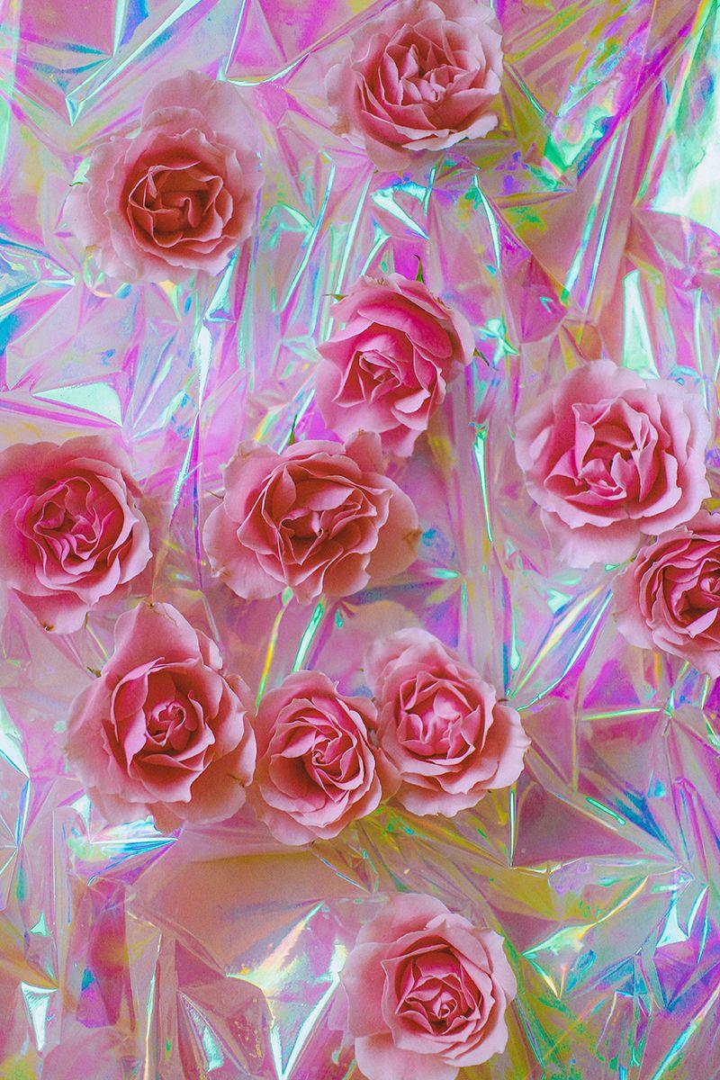 A pink rose wallpaper with a holographic background - Holographic