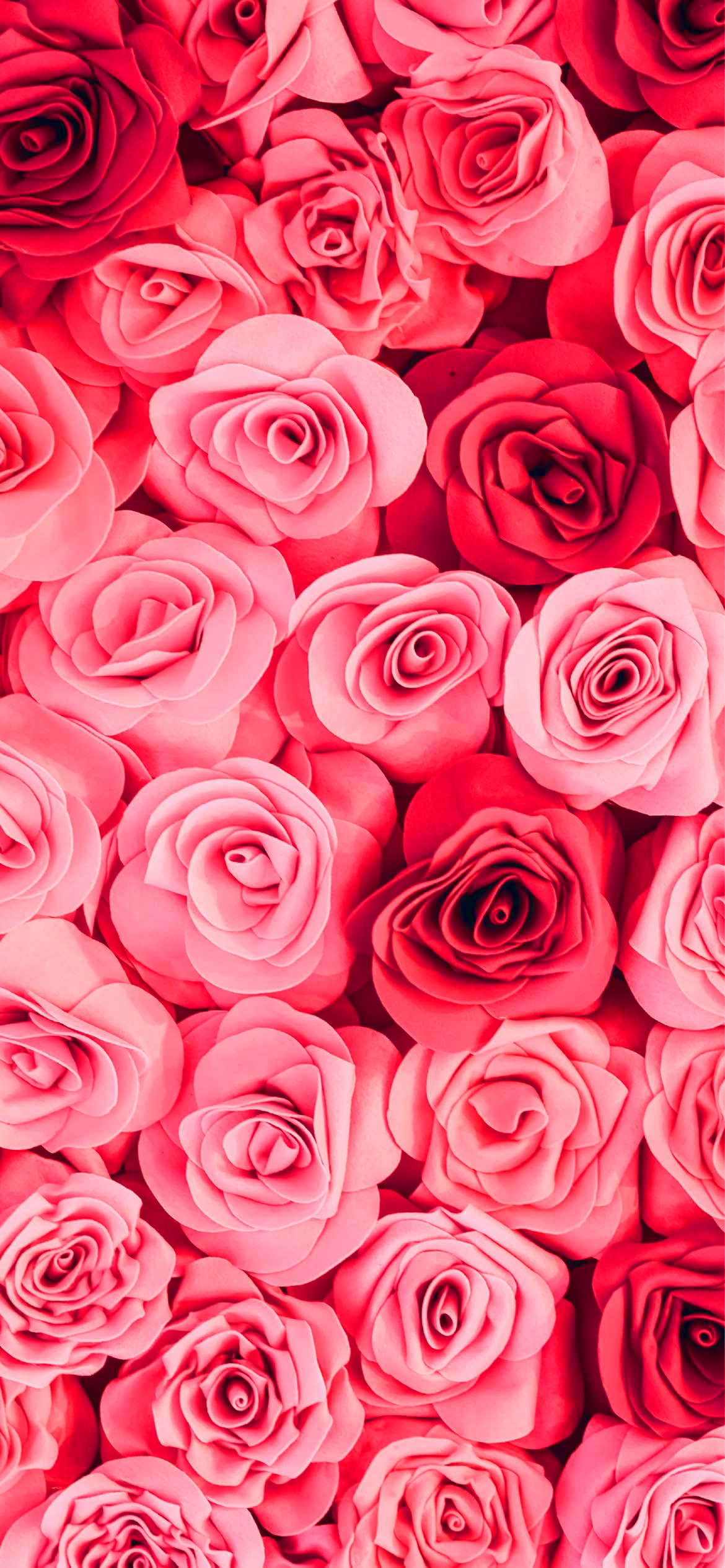 1080x1920 Wallpaper red, roses, flowers, petals, background, texture, close up - Roses, Valentine's Day